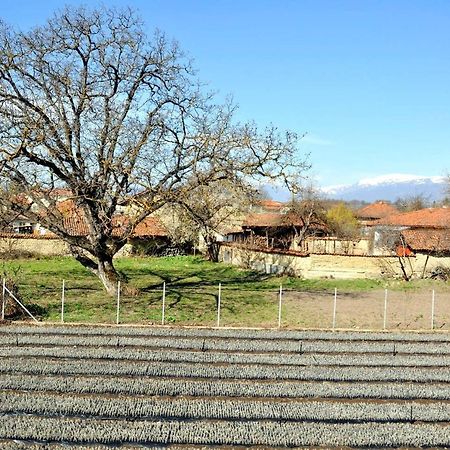 Villa Vila V S. Gabarevo, Dolinata Na Rozite. Exterior foto