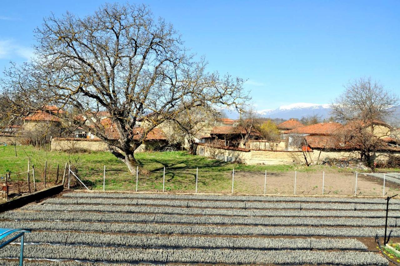 Villa Vila V S. Gabarevo, Dolinata Na Rozite. Exterior foto