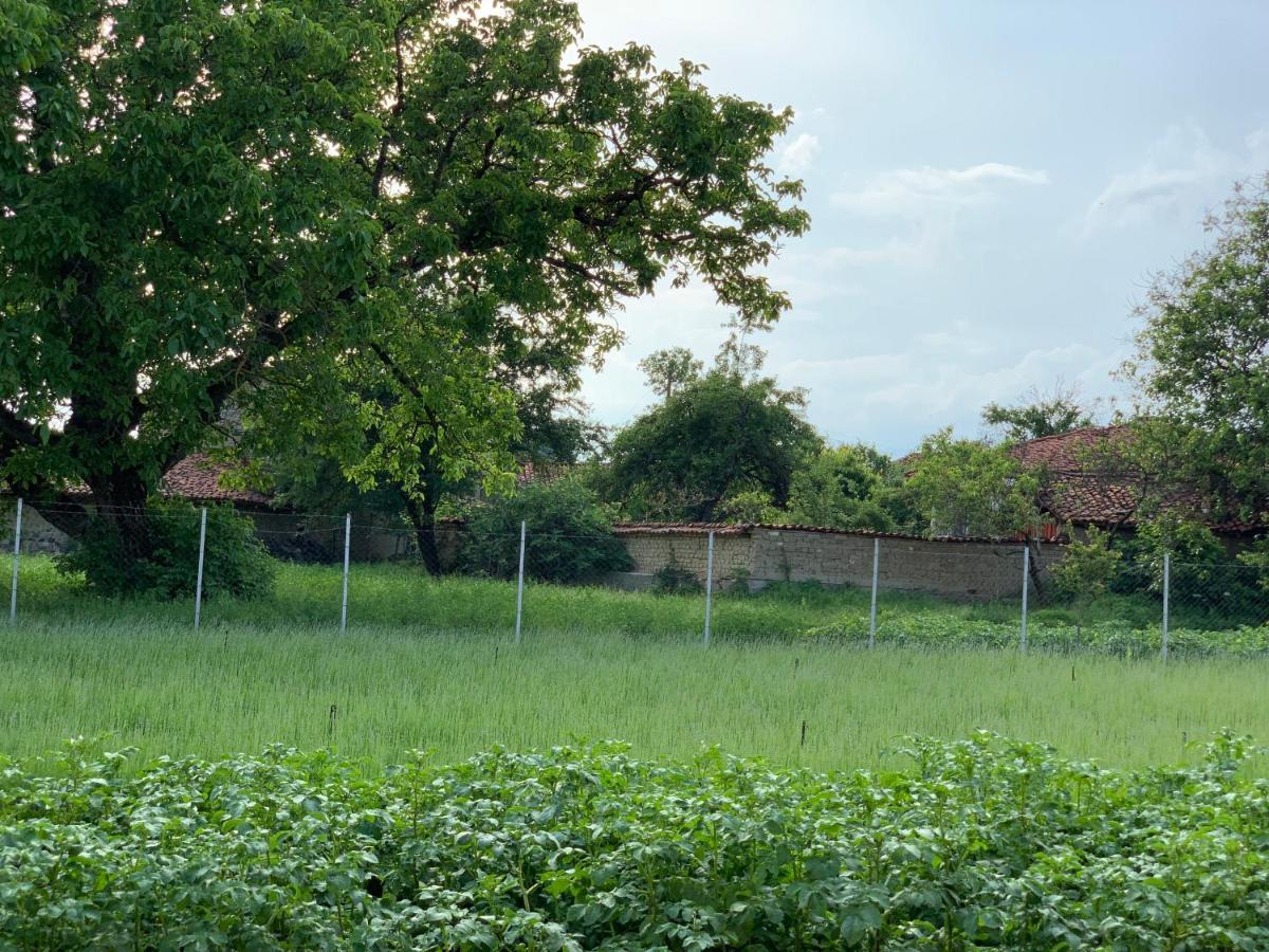 Villa Vila V S. Gabarevo, Dolinata Na Rozite. Exterior foto